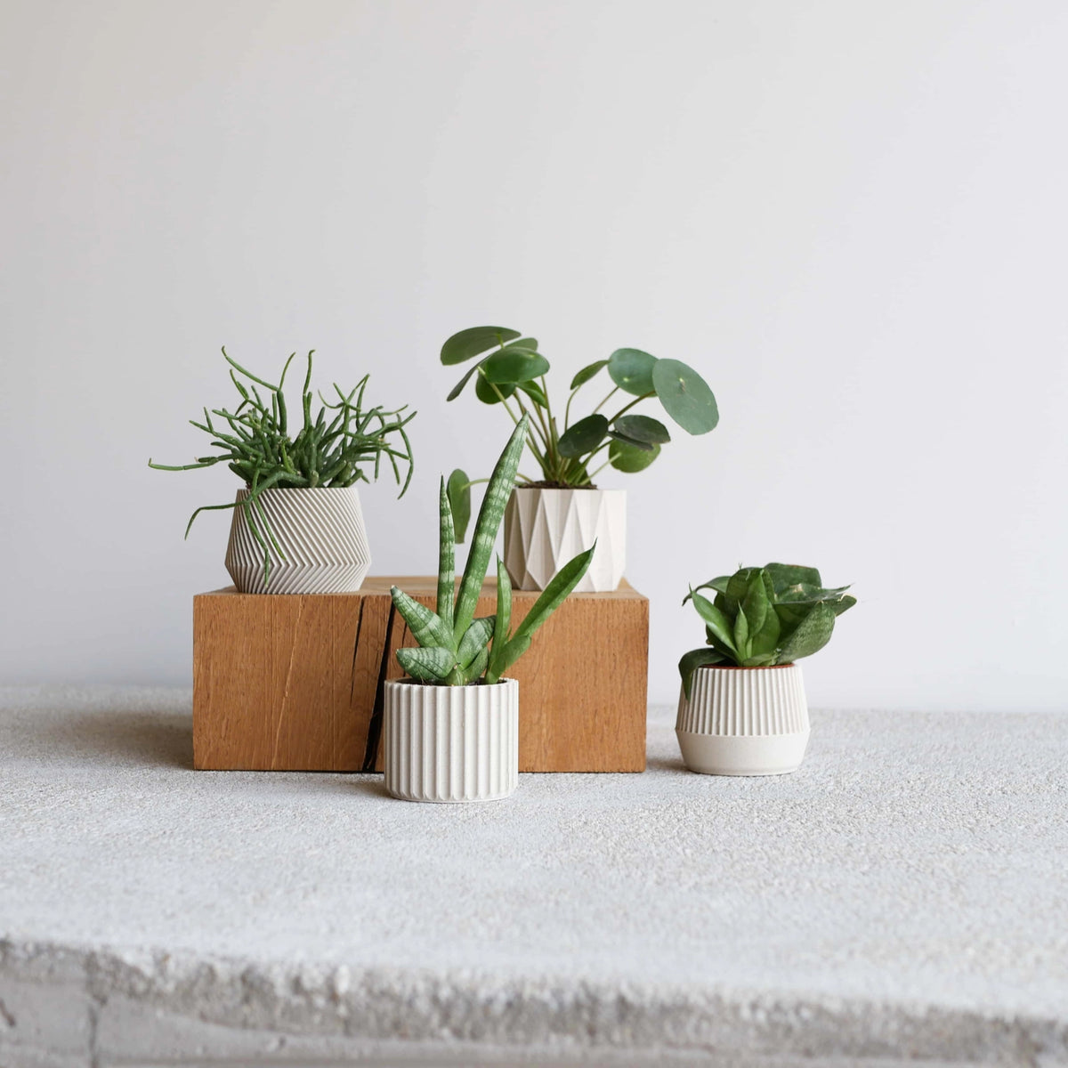Set de 4 pots à plantes blancs