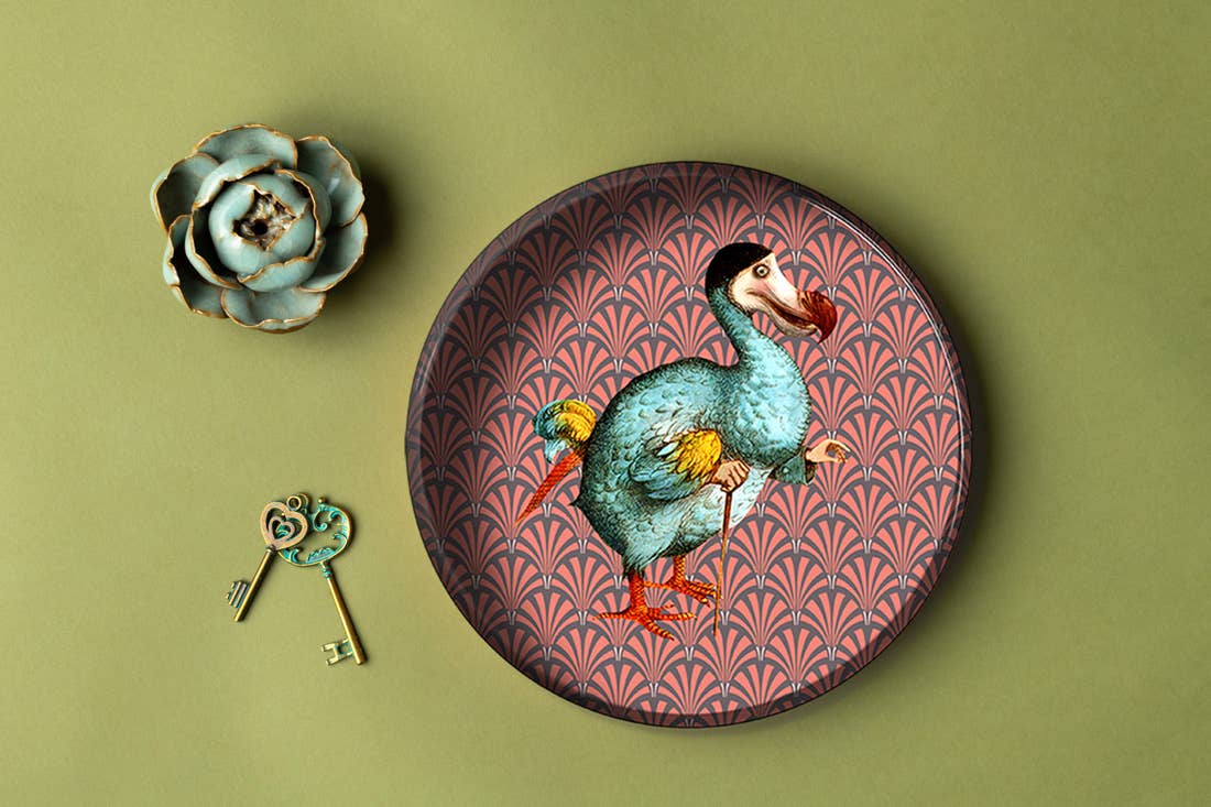 Plateau Dodo 02